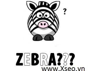 Thuật toán Google Zebra là gì?