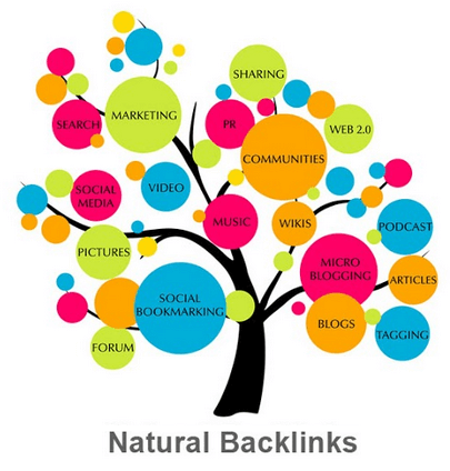 XSEO hỗ trợ chạy Backlink
